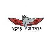 חגי ו.