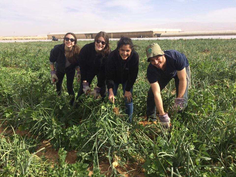 עבודה מועדפת בדרום