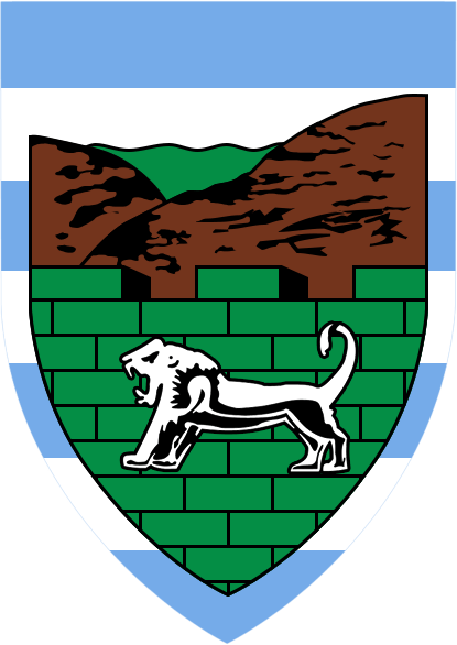 Col. Chezi Nechama